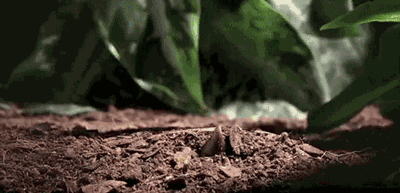 3.gif 3.gif