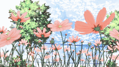 2.gif 2.gif